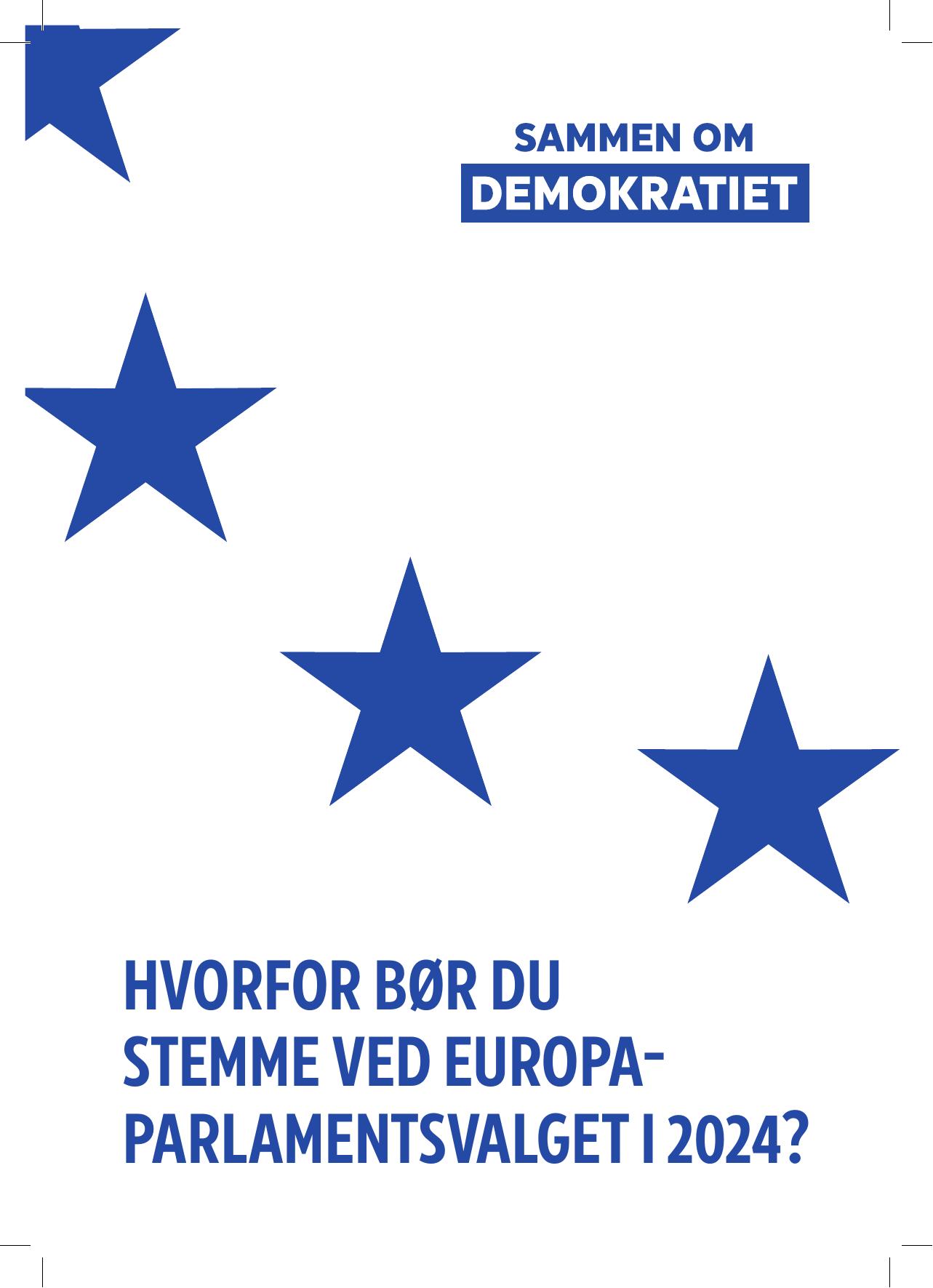 together.eu_Why should you consider voting_DA.pdf